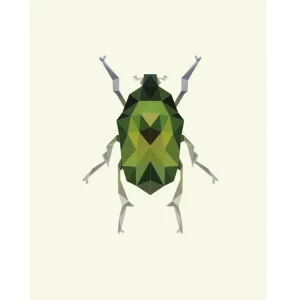 ESCARABAJO studiomalek
