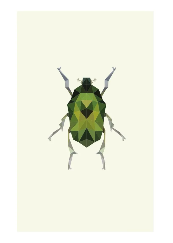 ESCARABAJO studiomalek
