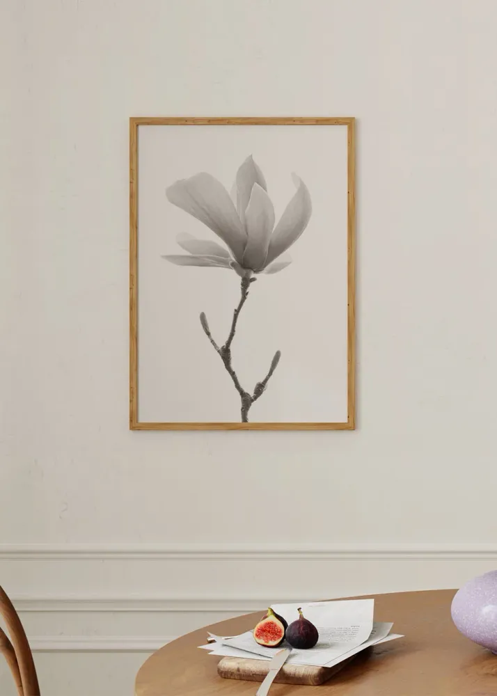 MAGNOLIA FLOR studiomalek