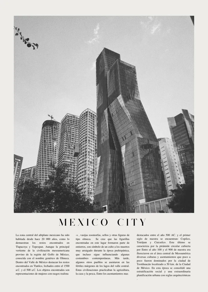 MEXICO CITY PAPER studiomalek