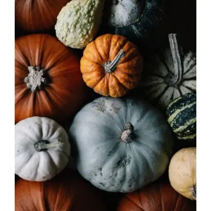 PUMPKINS studiomalek