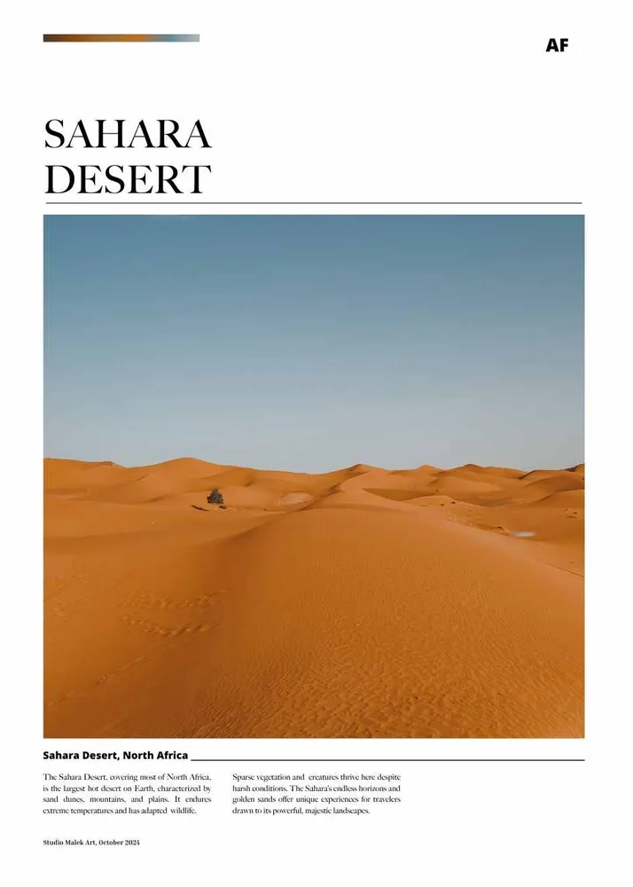 SAHARA DESERT ARTICLE studiomalek