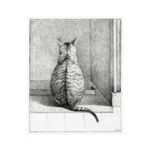 SITTING CAT studiomalek