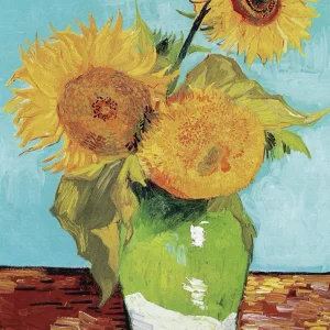 SUNFLOWER 2 studiomalek