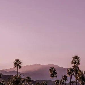SUNSET studiomalek