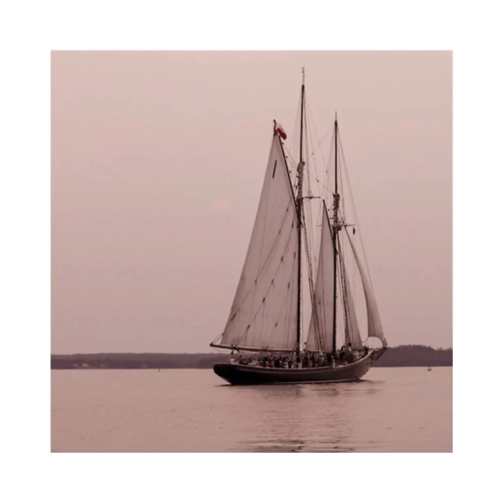 VELERO studiomalek