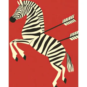 ZEBRA ROJA studiomalek