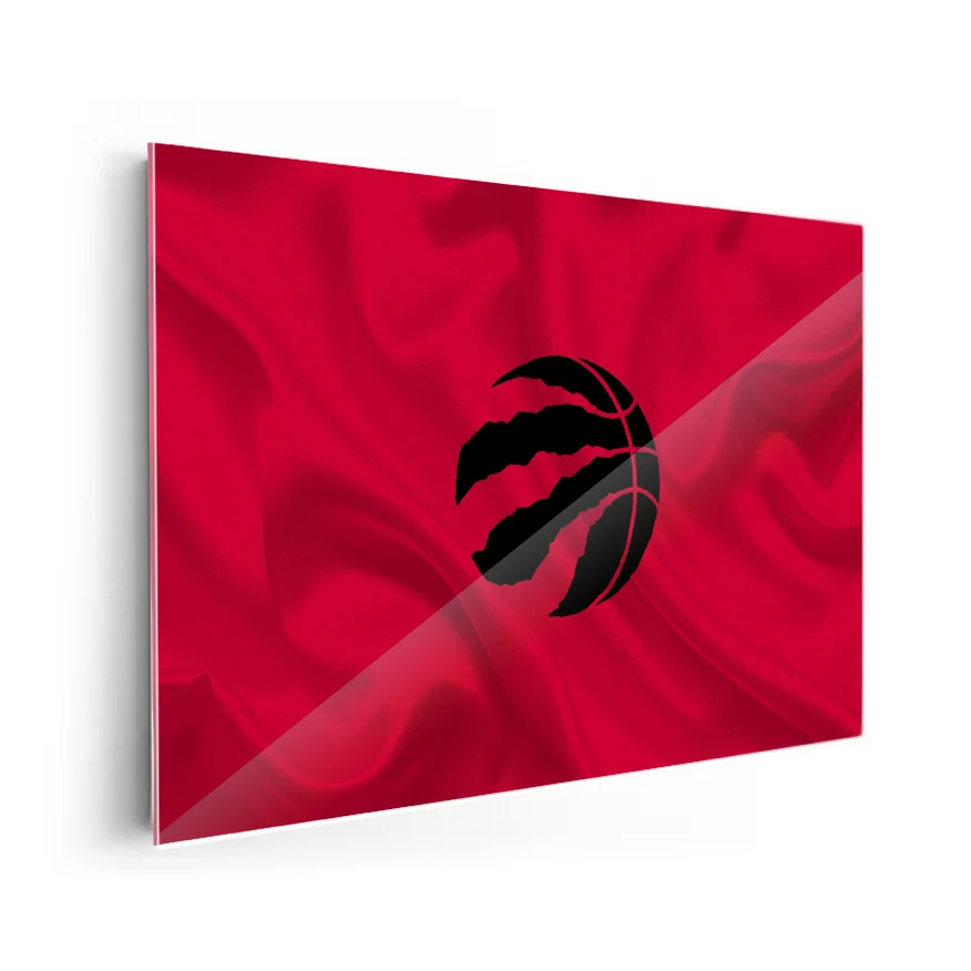 Toronto Raptors Poster