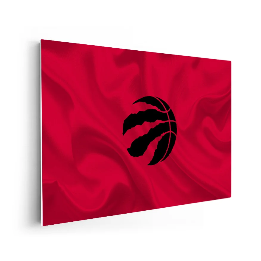 Toronto Raptors Poster