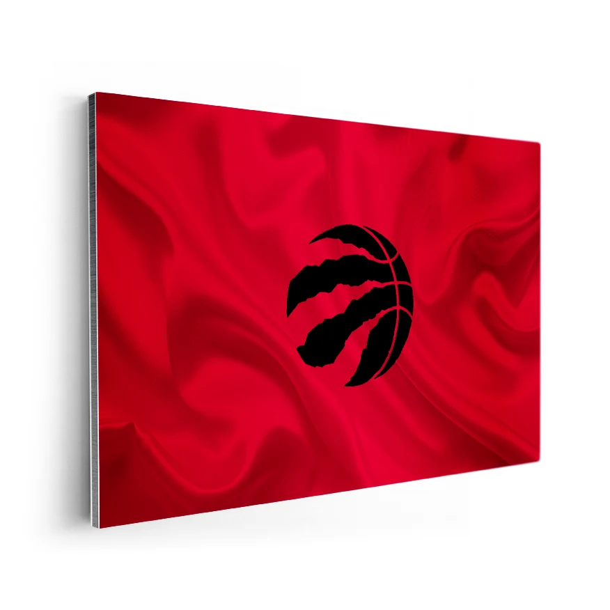 Toronto Raptors Poster