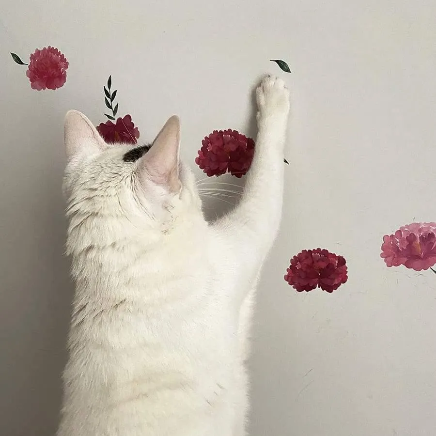 Vinilo Peonías flor