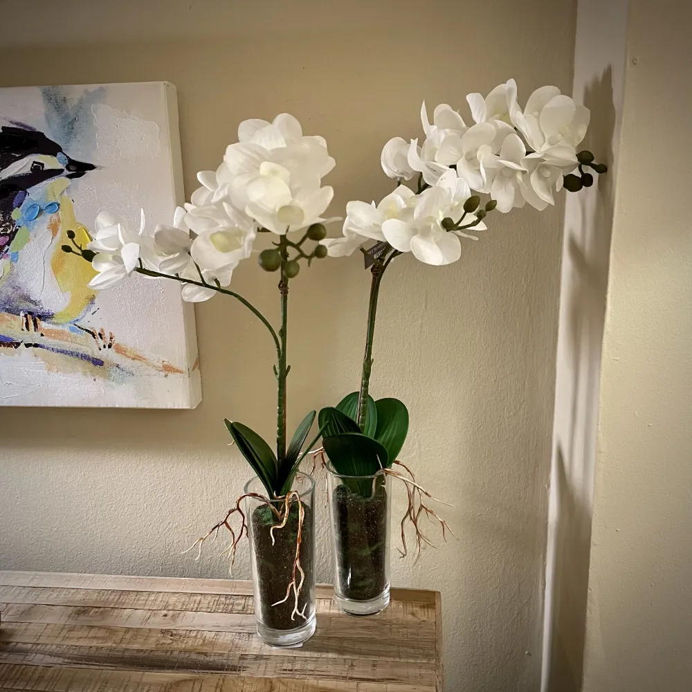 Orquídea blanca vaso Petra Decora