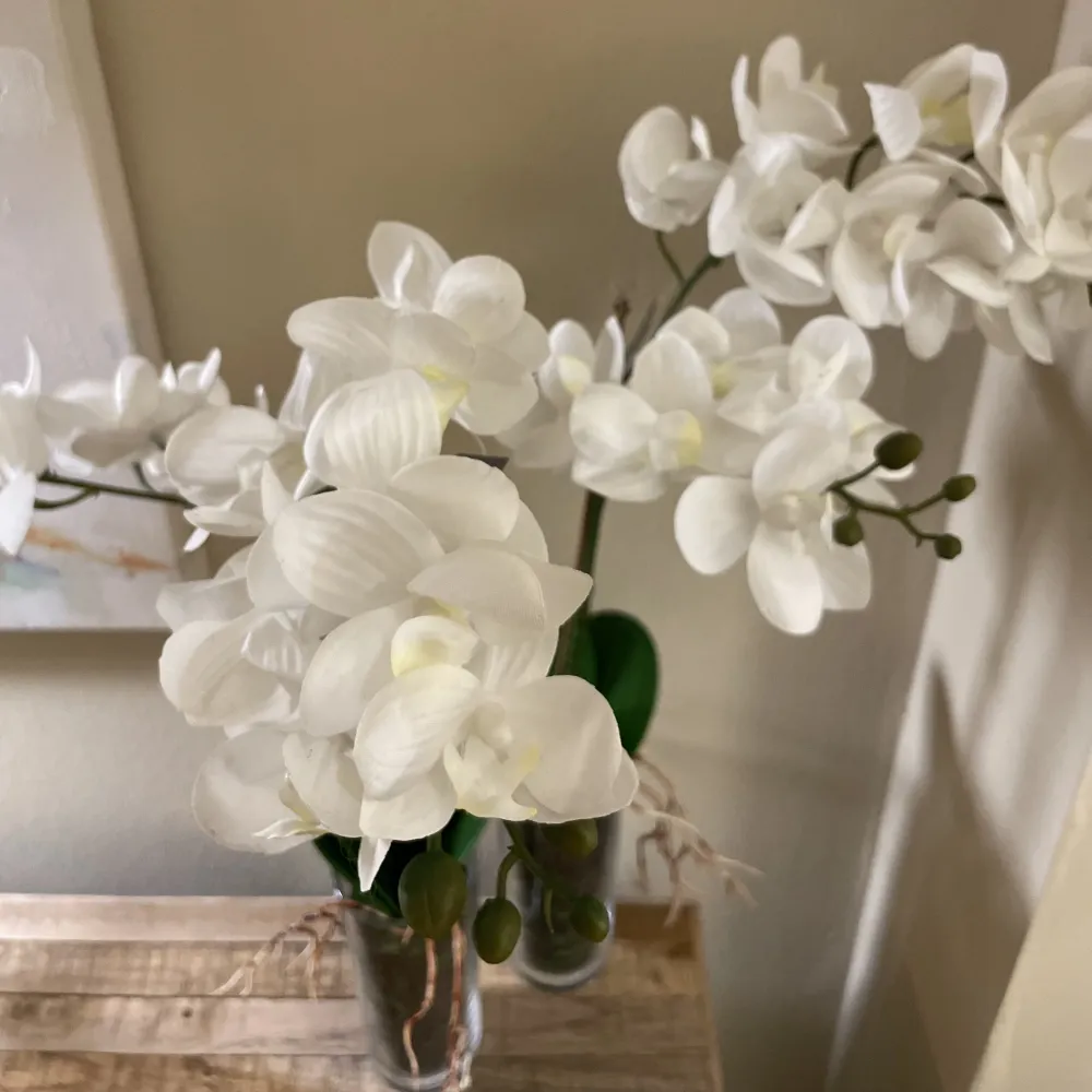 Orquídea blanca vaso Petra Decora