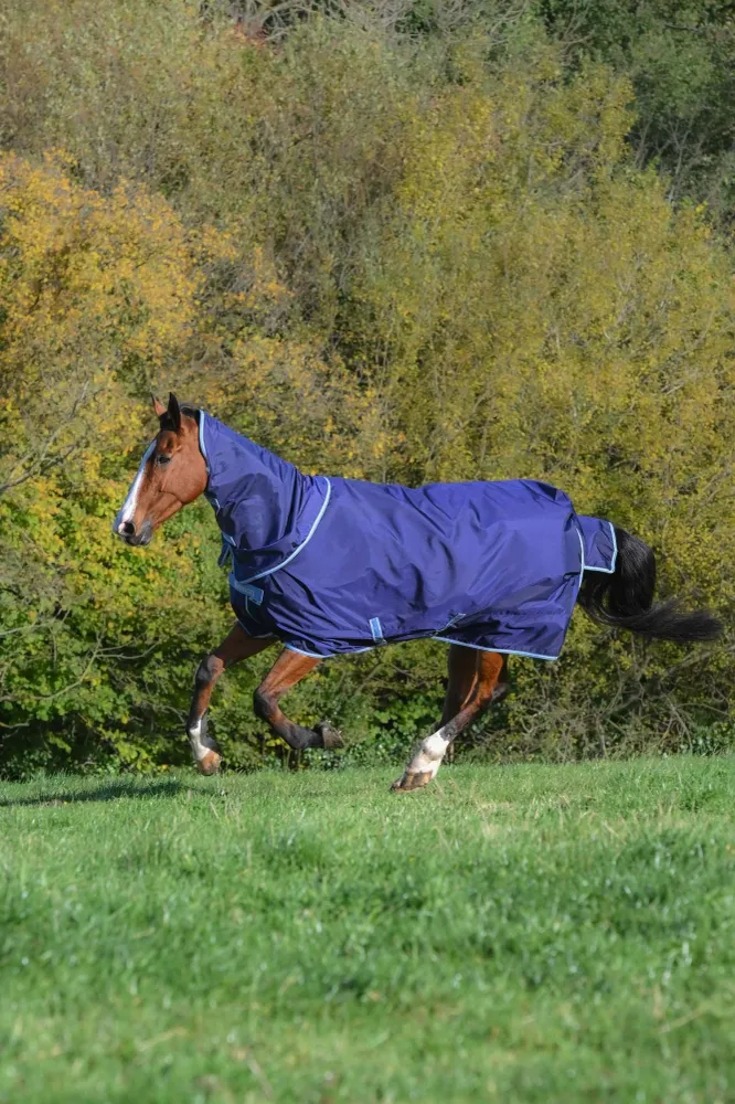 Atlantic Exclusive Rug & Neck Set, 0 g Navy/Blue 155