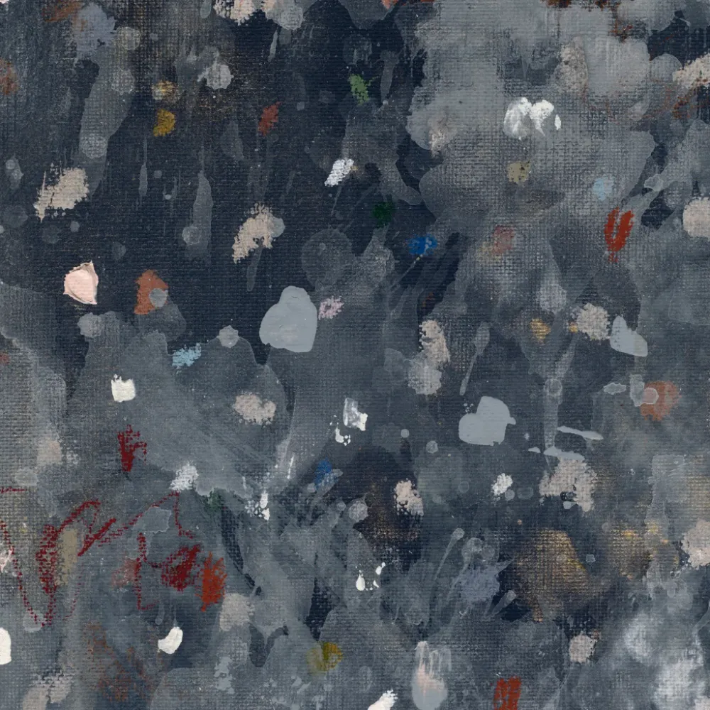 Beach Stones | Lona