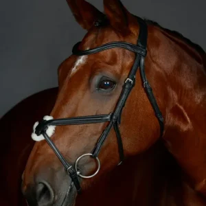 Comfitec Opulux Plain Padded Grackle Bridle Ónix C con Cargador Incluido
