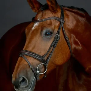 Comfitec Opulux Plain Padded Hanoverian Flash Bridle Dark Canela C