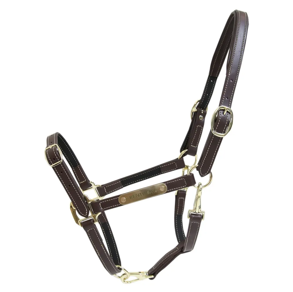 En cuero Halter Flexible Brown C
