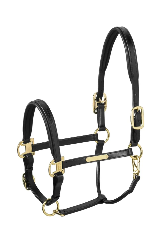 Elegance Halter Ébano C