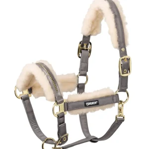 Evo Wool Halter Double Pin Anthra C