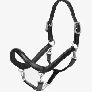 Leather Grooming Headcollar Black C