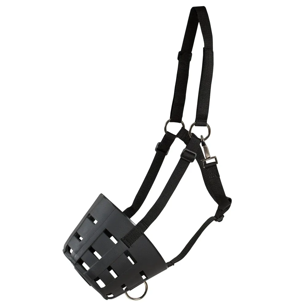 Pilas de Reloj Bozal Horze Negro C