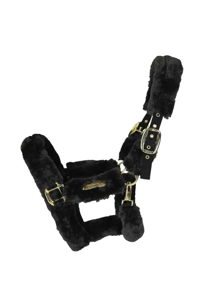 Shipping Halter Sheepskin Ónix C