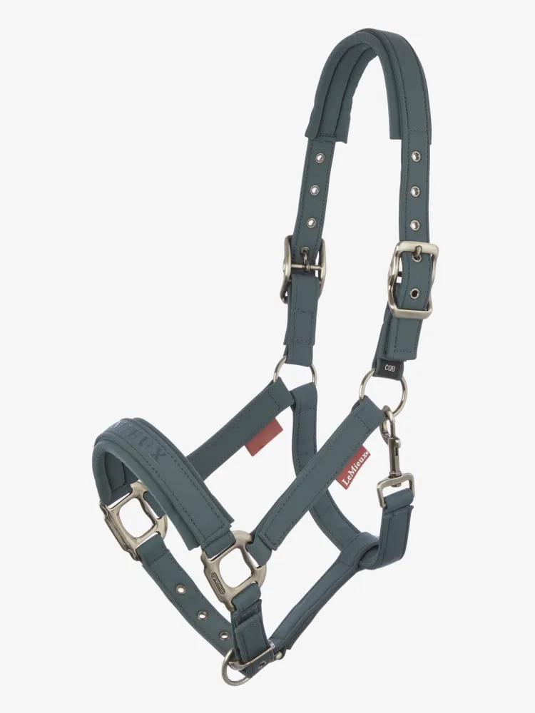 Soft Shell Headcollar Petrol C