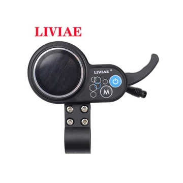 Pantalla Display Liviae (6 pines) con Estuche de Almacenamiento