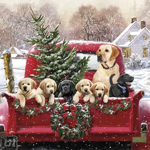 Servilleta Perritos Con Camioneta Artis Decor