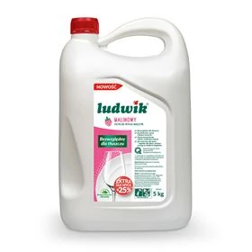 LUDWIK LÍQUIDO DE FRAMBUESA 5 KG