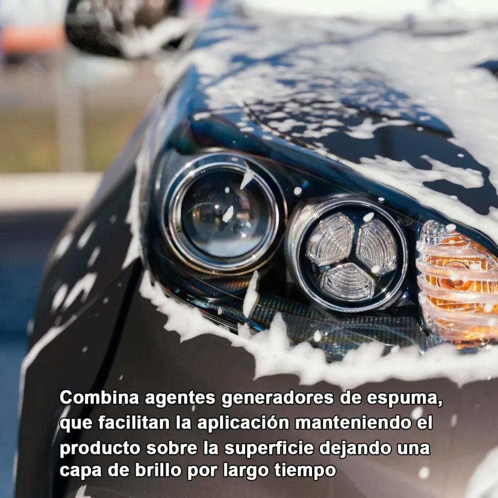 Shampoo Automovil 5 LTS