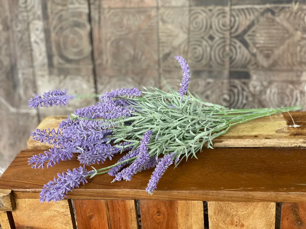 LAVANDA con Tecnologí Antimanchas