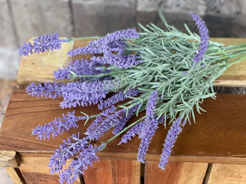 LAVANDA con Tecnologí Antimanchas